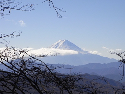 富士山っ